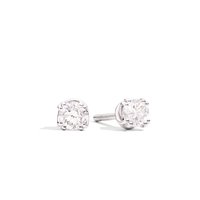 Orecchini Recarlo Donna in Oro bianco Diamante E61PX001/B040 - E61PX001/B040